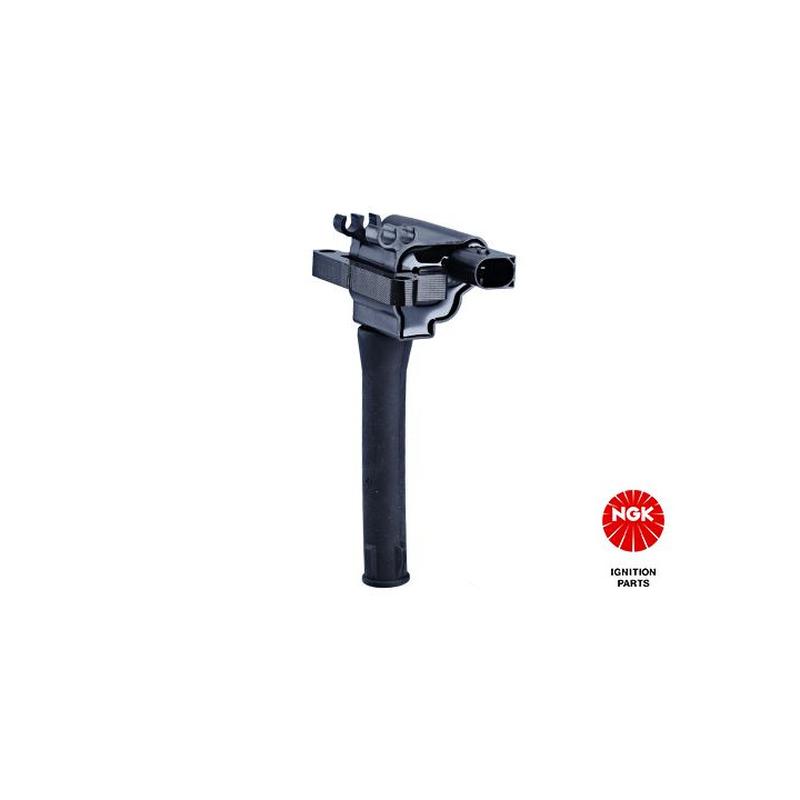 Ritė, uždegimas NGK 48055