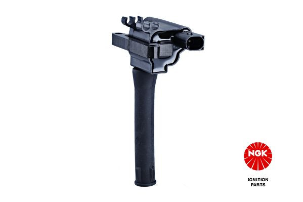 Ritė, uždegimas NGK 48055