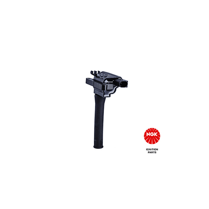 Ritė, uždegimas NGK 48055