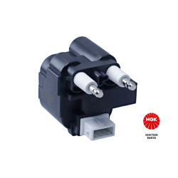 Ritė, uždegimas NGK 48058