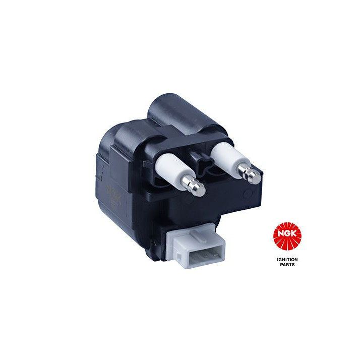 Ritė, uždegimas NGK 48058