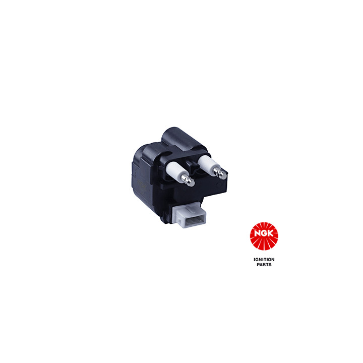 Ritė, uždegimas NGK 48058