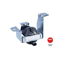 Ritė, uždegimas NGK 48059