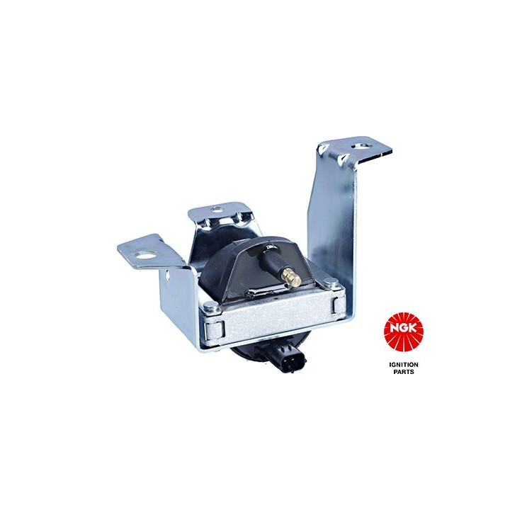 Ritė, uždegimas NGK 48059