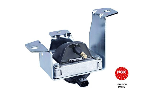 Ritė, uždegimas NGK 48059