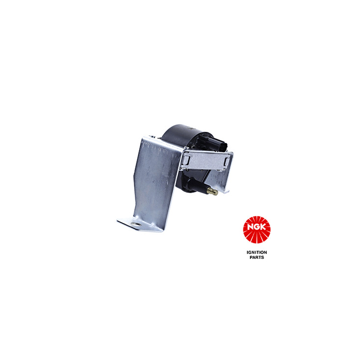 Ritė, uždegimas NGK 48059