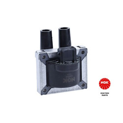 Ritė, uždegimas NGK 48060