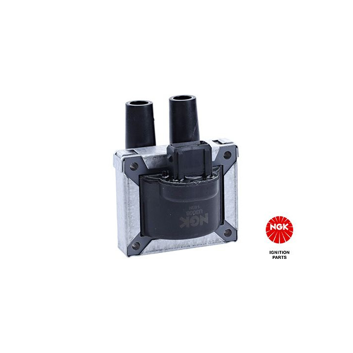 Ritė, uždegimas NGK 48060