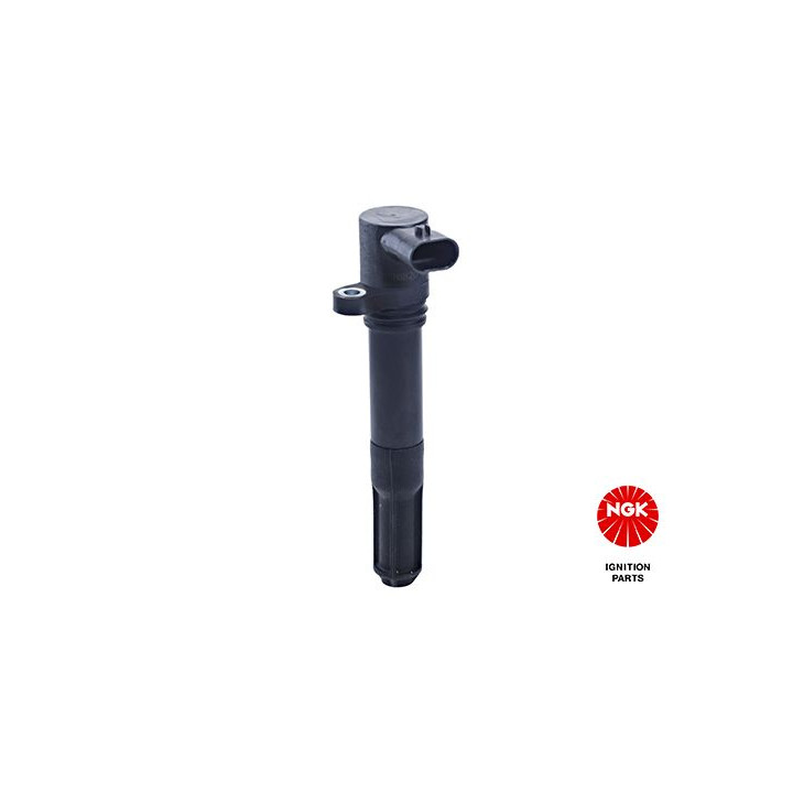 Ritė, uždegimas NGK 48061