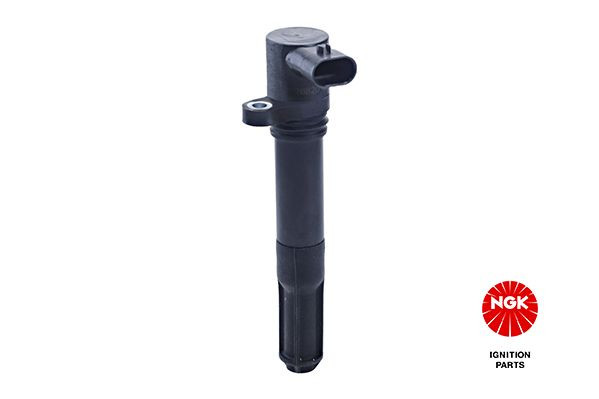 Ritė, uždegimas NGK 48061