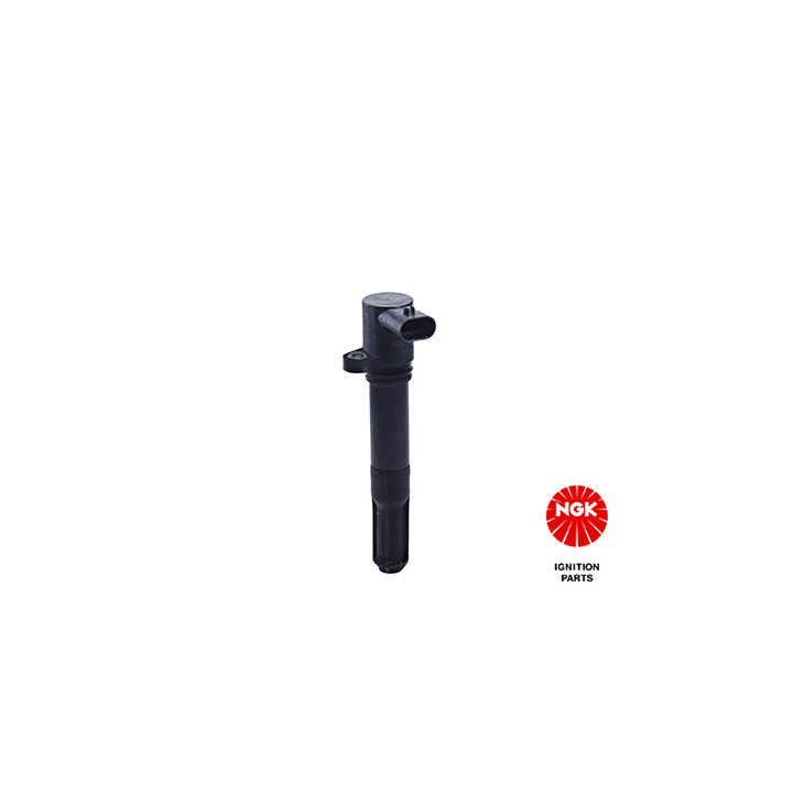 Ritė, uždegimas NGK 48061