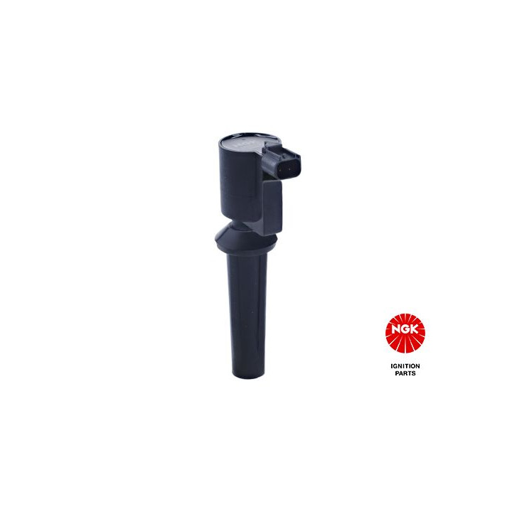 Ritė, uždegimas NGK 48063