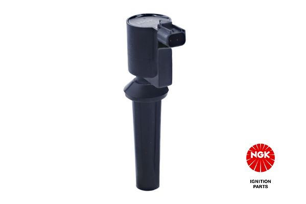 Ritė, uždegimas NGK 48063