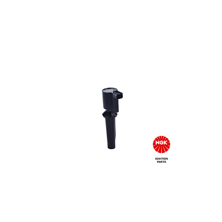 Ritė, uždegimas NGK 48063