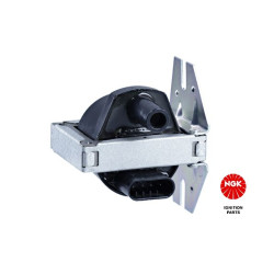 Ritė, uždegimas NGK 48064