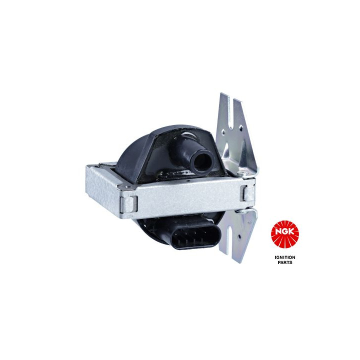 Ritė, uždegimas NGK 48064