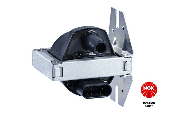 Ritė, uždegimas NGK 48064