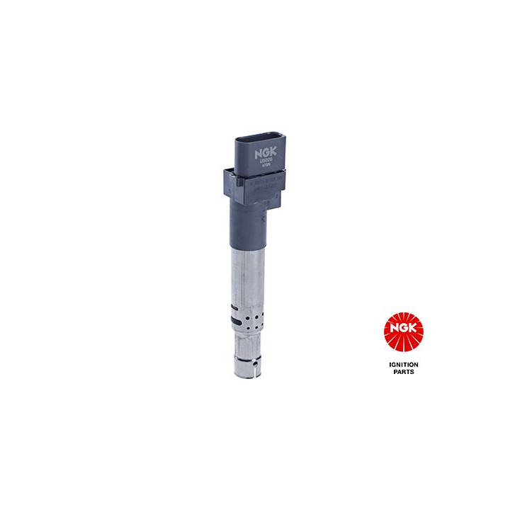 Ritė, uždegimas NGK 48065