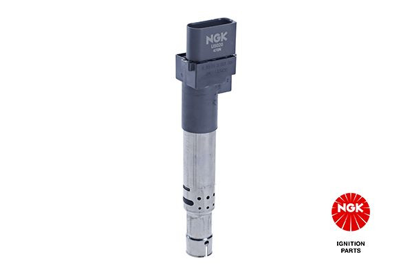 Ritė, uždegimas NGK 48065