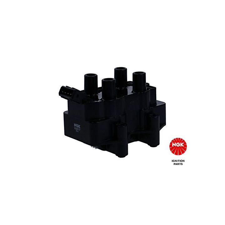 Ritė, uždegimas NGK 48067