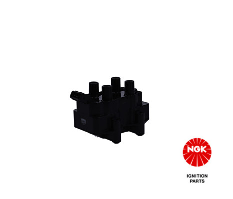 Ritė, uždegimas NGK 48067