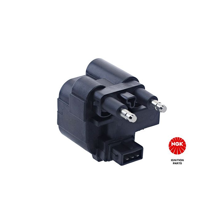 Ritė, uždegimas NGK 48068