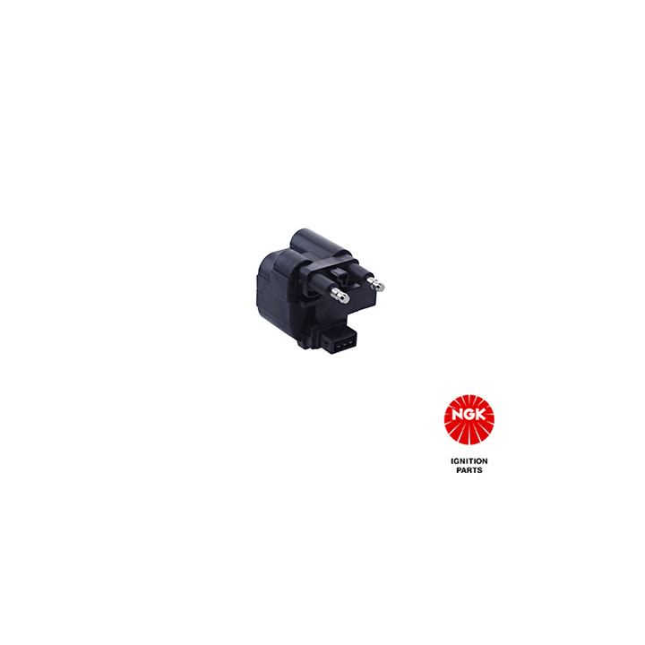 Ritė, uždegimas NGK 48068