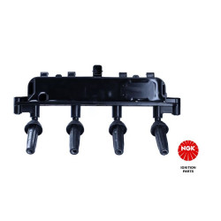 Ritė, uždegimas NGK 48074