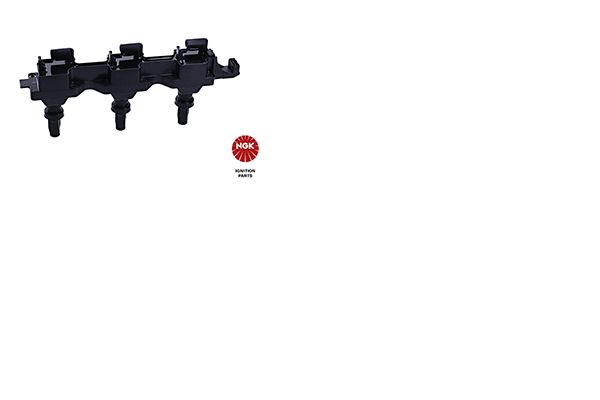 Ritė, uždegimas NGK 48075