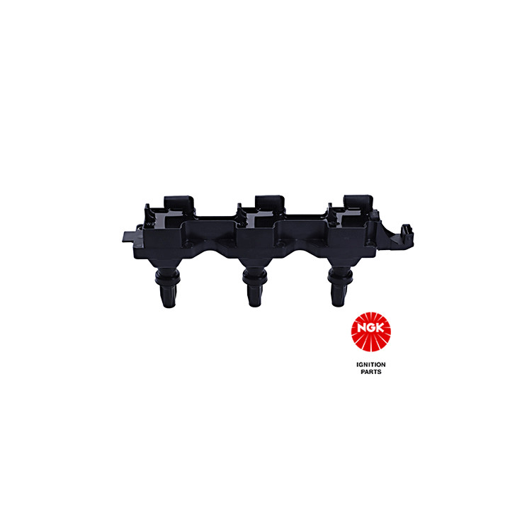 Ritė, uždegimas NGK 48075