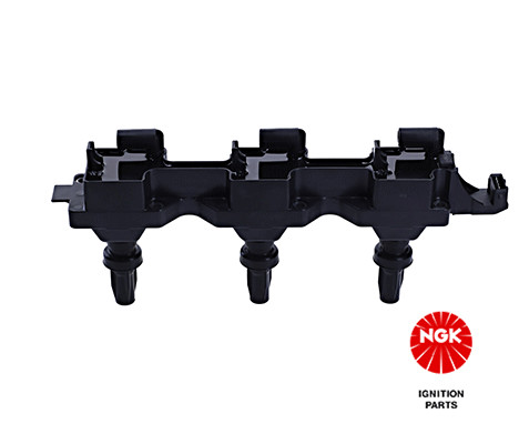 Ritė, uždegimas NGK 48075