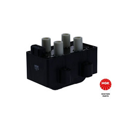 Ritė, uždegimas NGK 48078