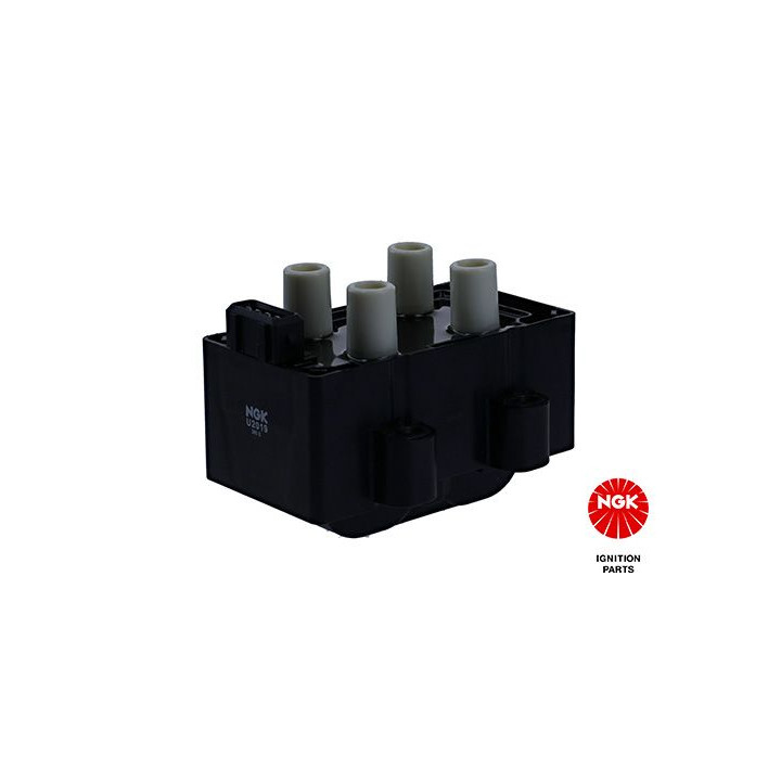 Ritė, uždegimas NGK 48078