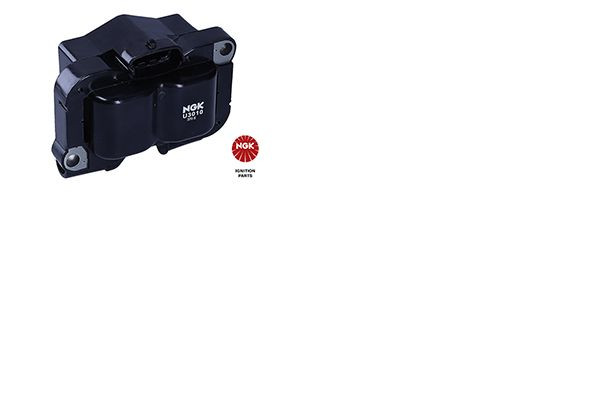 Ritė, uždegimas NGK 48085