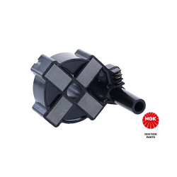 Ritė, uždegimas NGK 48090