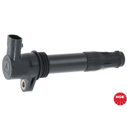 Ritė, uždegimas NGK 48091