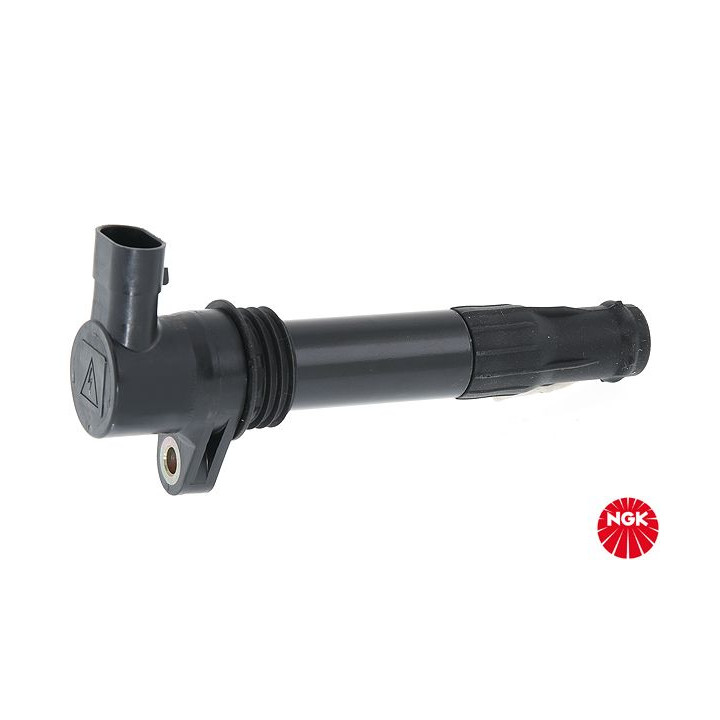 Ritė, uždegimas NGK 48091