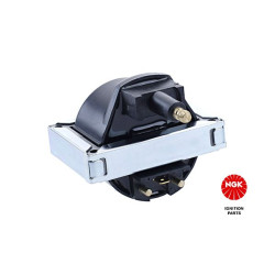 Ritė, uždegimas NGK 48092