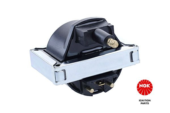 Ritė, uždegimas NGK 48092