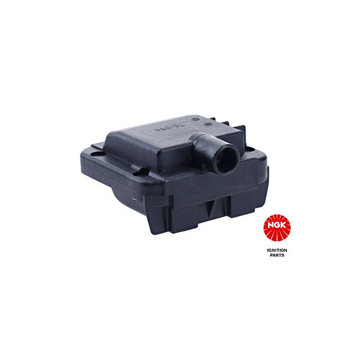 Ritė, uždegimas NGK 48098