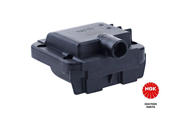 Ritė, uždegimas NGK 48098