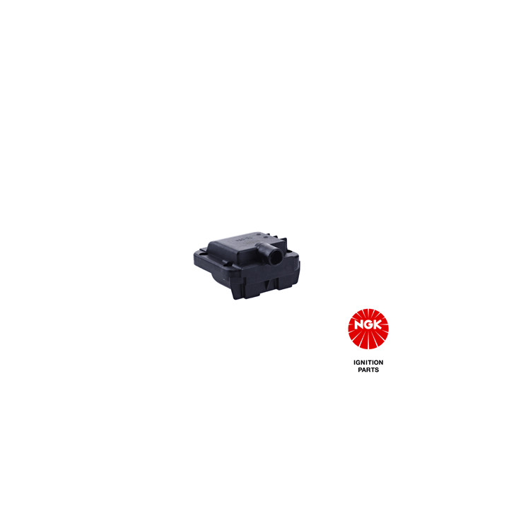 Ritė, uždegimas NGK 48098