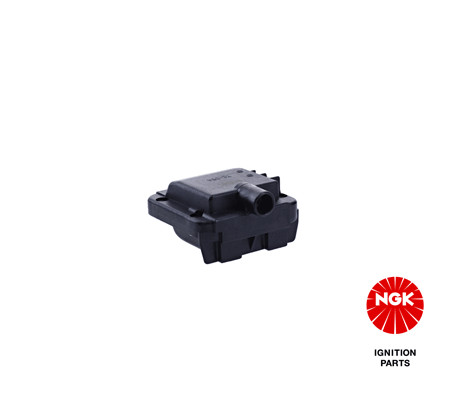 Ritė, uždegimas NGK 48098