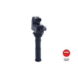 Ritė, uždegimas NGK 48102