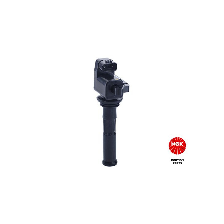 Ritė, uždegimas NGK 48102