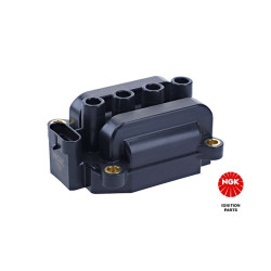 Ritė, uždegimas NGK 48108