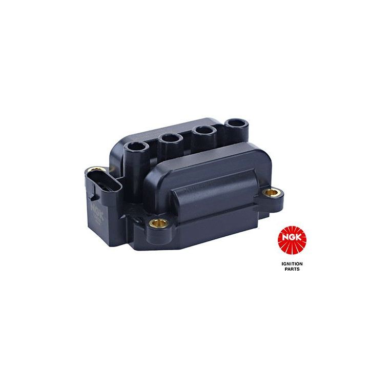 Ritė, uždegimas NGK 48108