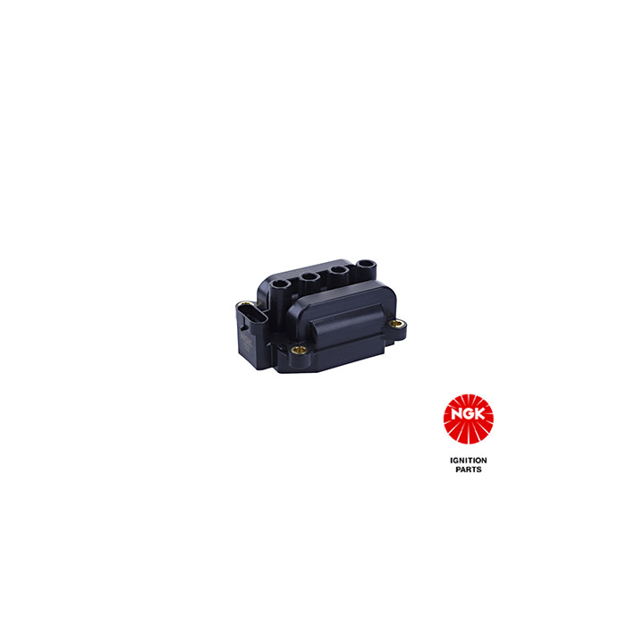 Ritė, uždegimas NGK 48108