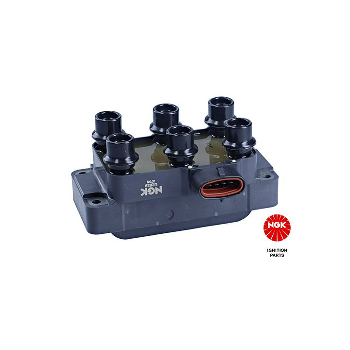 Ritė, uždegimas NGK 48110