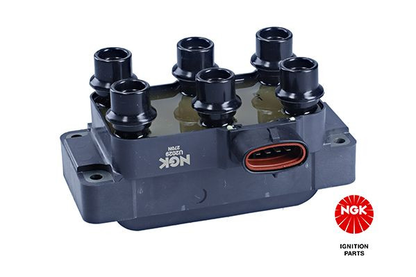 Ritė, uždegimas NGK 48110